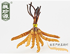 xĲ2.2l/ ڲ x؛r(ji)286Ԫ/