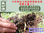 rxĲ շb 0.6/r(ji)60Ԫ/